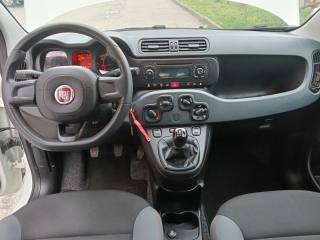 FIAT Panda usata, con ESP