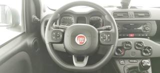 FIAT Panda usata 38