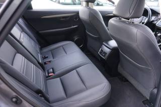 LEXUS NX 300h usata, con Portellone posteriore elettrico