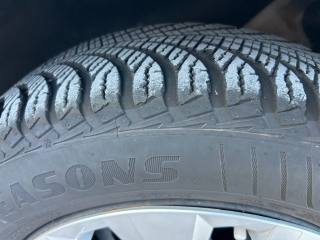 VOLKSWAGEN Polo usata, con Servosterzo