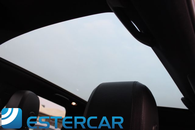 LAND ROVER Discovery Sport usata, con Controllo automatico clima