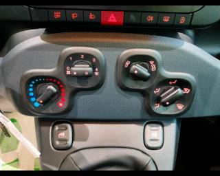 FIAT New Panda usata, con Controllo elettronico della corsia