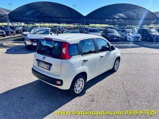 FIAT Panda usata, con Airbag Passeggero