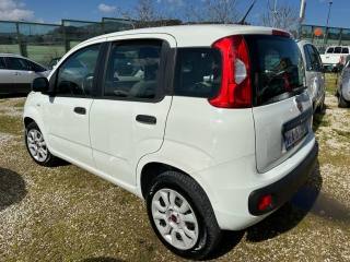 FIAT Panda usata, con Boardcomputer