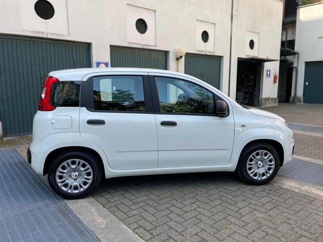 FIAT Panda usata, con Alzacristalli elettrici