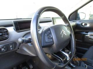 CITROEN C4 Cactus usata, con Cruise Control