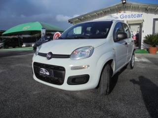 FIAT Panda usata, con Airbag Passeggero