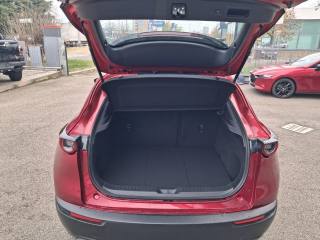 MAZDA CX-30 usata, con Chiusura centralizzata