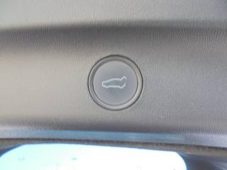 TESLA Model Y usata 19