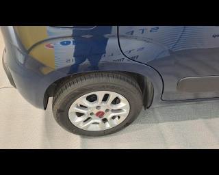 FIAT New Panda usata, con Kit antipanne