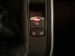 RENAULT Scenic usata, con Volante riscaldabile