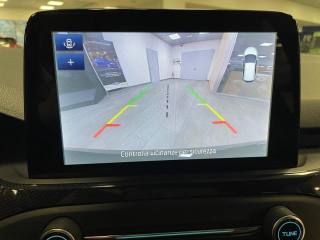 FORD Focus usata, con Vetri oscurati