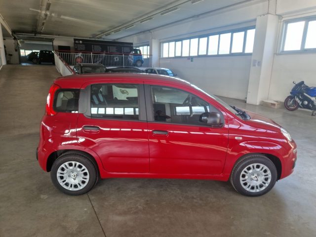 FIAT Panda usata, con Airbag Passeggero