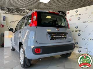 FIAT Panda usata 26