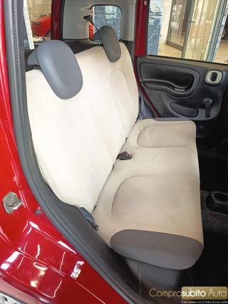 FIAT Panda usata 12