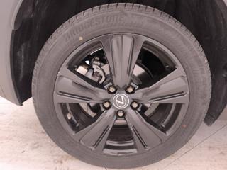 LEXUS UX 250h usata, con Sensori di parcheggio posteriori
