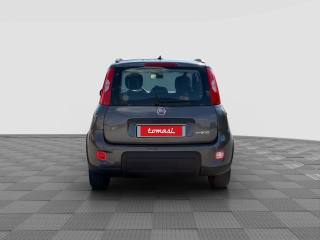 FIAT Panda usata 3
