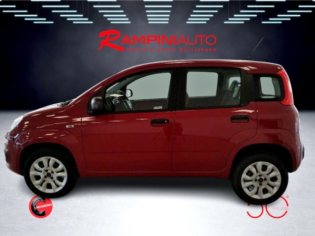 FIAT Panda usata 10