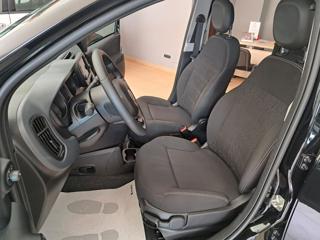FIAT Panda usata, con Antifurto