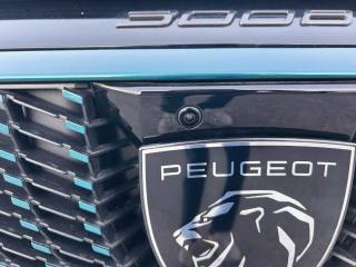 PEUGEOT 3008 usata 30