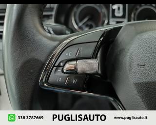 SKODA Kamiq usata, con Specchietti laterali elettrici