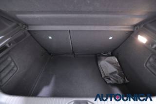 RENAULT Clio usata 44