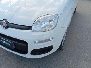 FIAT Panda usata 14