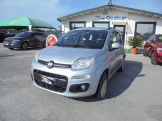 FIAT Panda usata, con Airbag Passeggero