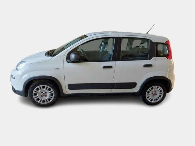FIAT Panda usata, con Airbag Passeggero