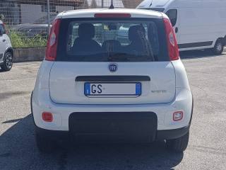 FIAT Panda usata, con Climatizzatore