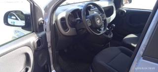 FIAT Panda Cross usata, con Controllo trazione