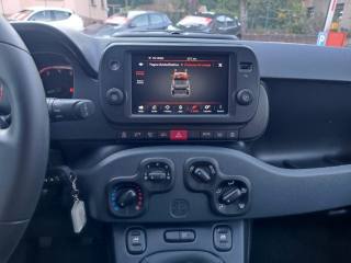 FIAT Panda Cross usata, con Immobilizzatore elettronico