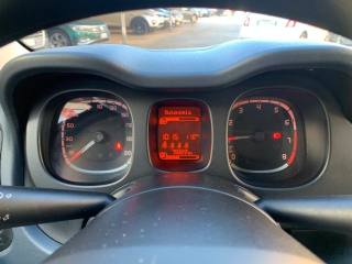 FIAT Panda usata 13
