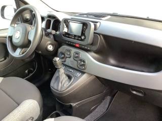 FIAT Panda usata, con Controllo trazione
