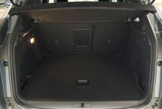 PEUGEOT 3008 usata, con Vetri oscurati