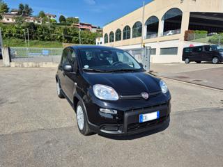 FIAT Panda usata, con Alzacristalli elettrici