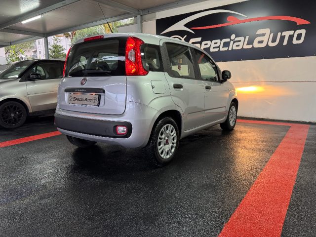 FIAT Panda usata 10