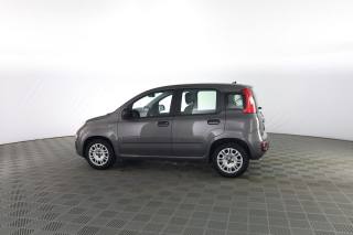 FIAT Panda usata 5