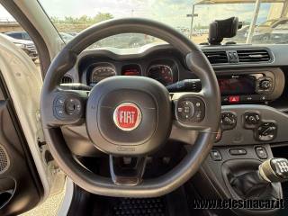 FIAT Panda usata 16
