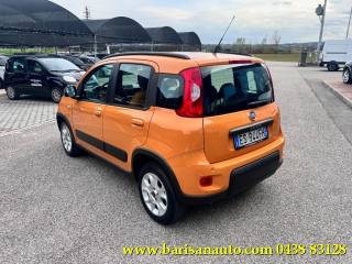 FIAT Panda usata, con Alzacristalli elettrici