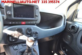 FIAT Panda Cross usata, con Controllo trazione
