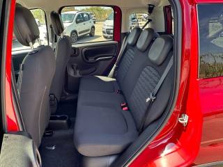 FIAT Panda Cross usata, con Controllo trazione