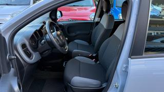 FIAT Panda usata, con Airbag testa