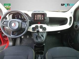 FIAT Panda Cross usata 23