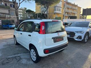 FIAT Panda usata, con Antifurto