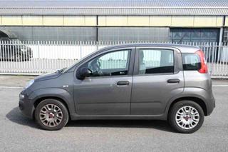 FIAT Panda usata, con Climatizzatore