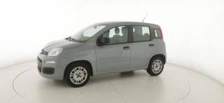 FIAT Panda usata 22