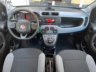 FIAT Panda usata 17