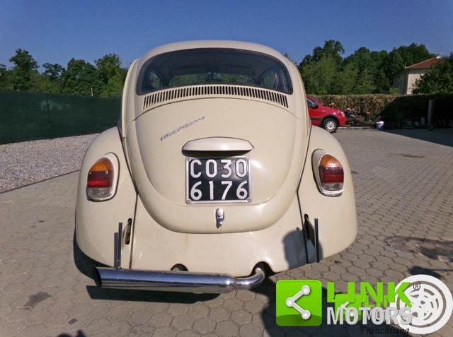 VOLKSWAGEN Maggiolino usata 4