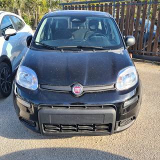 FIAT Panda usata, con Airbag Passeggero